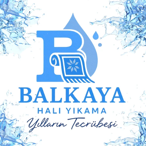 Antalya Halı Yıkama 